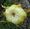 Conservación de flora y fauna en Laberintos del Chiguaza