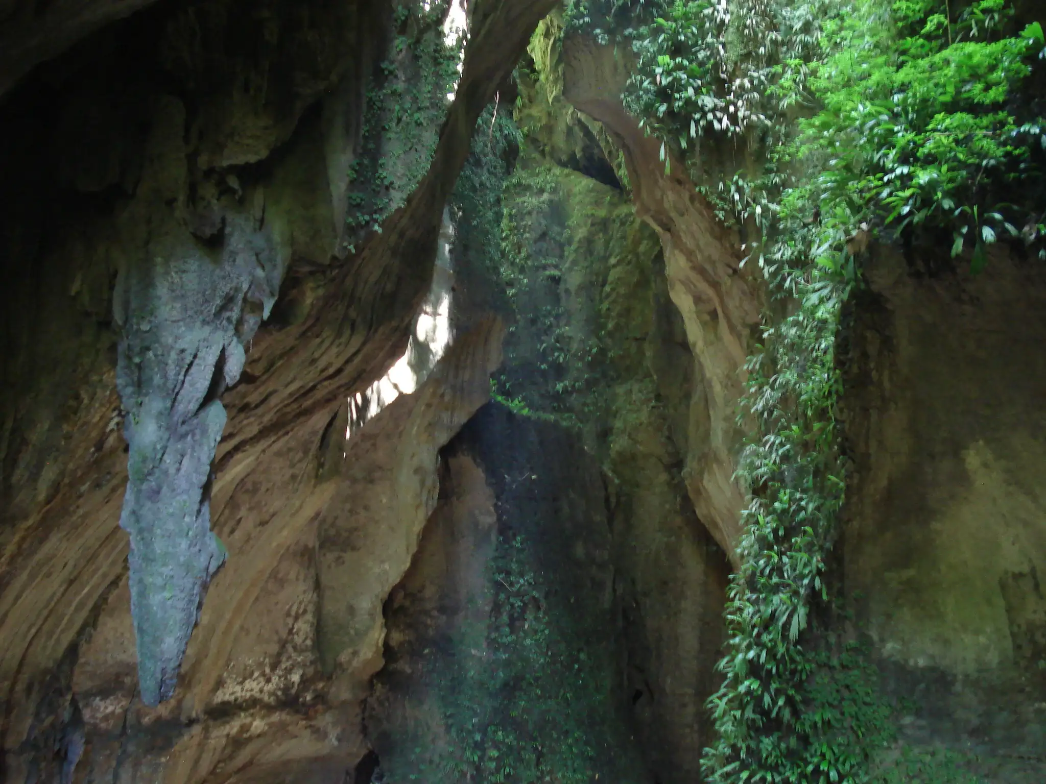 Cueva de los Tayos - Laberintos del Chiguaza