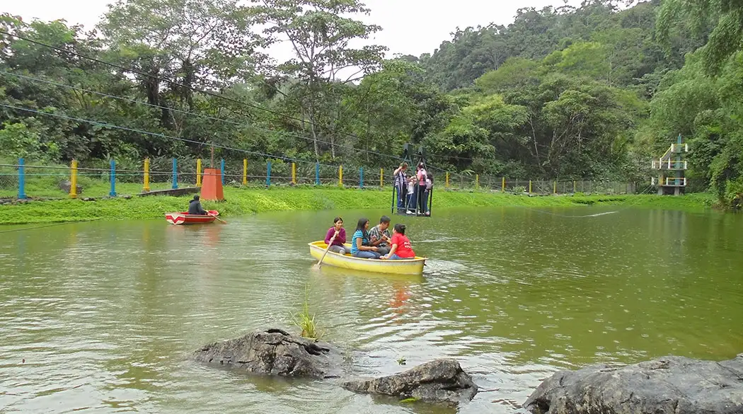 Canoas de fibra de vidrio con remos de madera